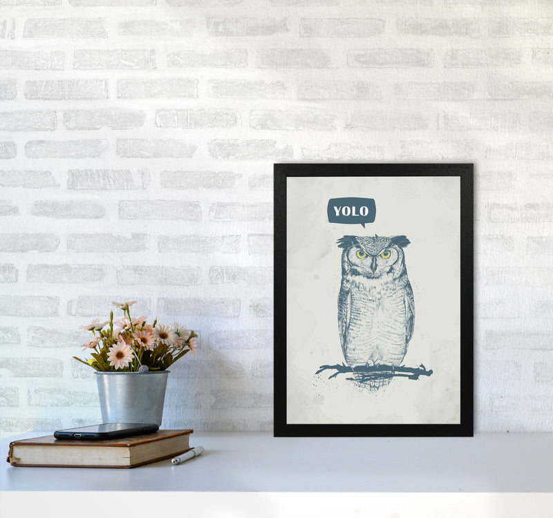 Yolo Owl Animal Art Print by Balaz Solti A3 White Frame