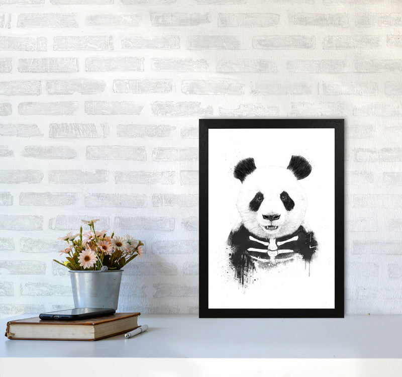 Zombie Panda Animal Art Print by Balaz Solti A3 White Frame