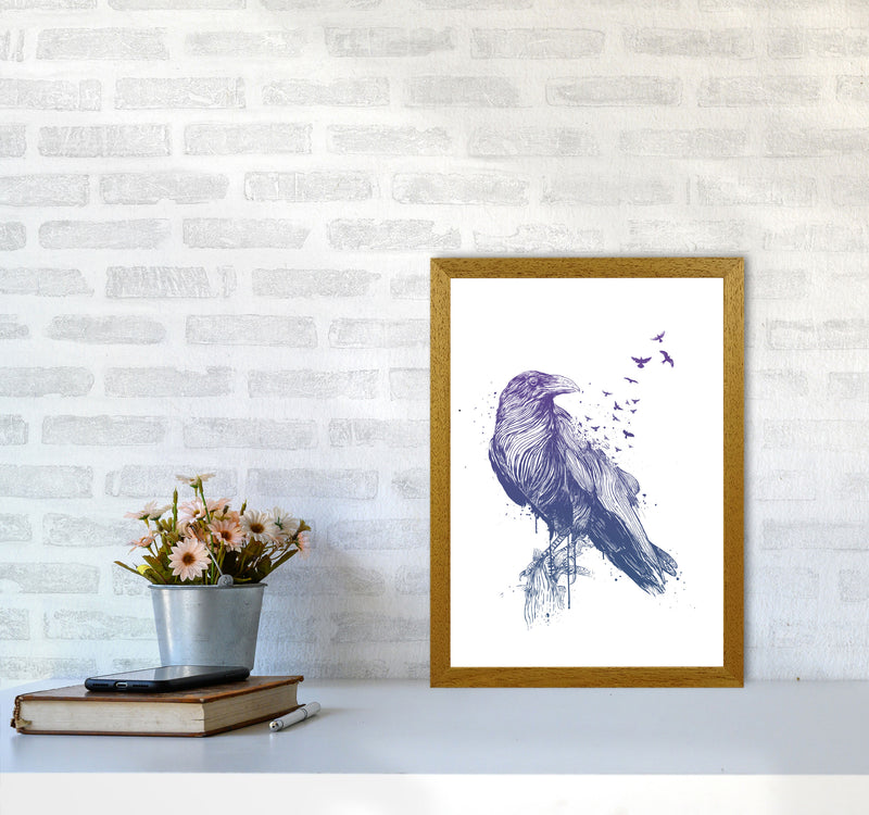 Born To Be Free Raven Animal Art Print by Balaz Solti A3 Print Only