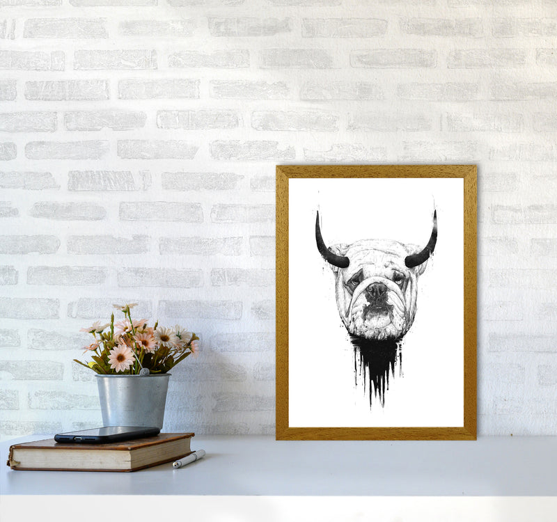 Bulldog Horns Animal Art Print by Balaz Solti A3 Print Only