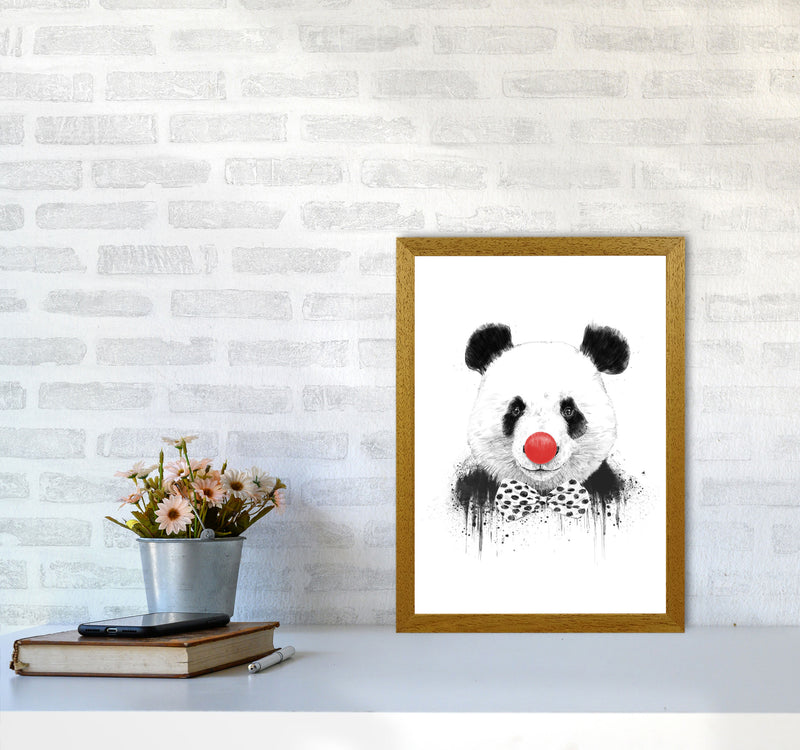 Clown Panda Animal Art Print by Balaz Solti A3 Print Only