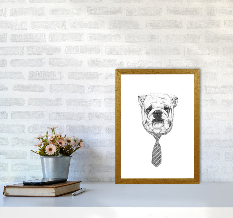 Cool Bulldog Animal Art Print by Balaz Solti A3 Print Only