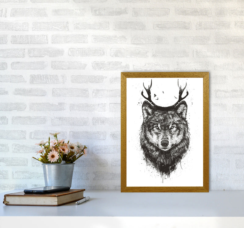 Deer Wolf B&W Animal Art Print by Balaz Solti A3 Print Only