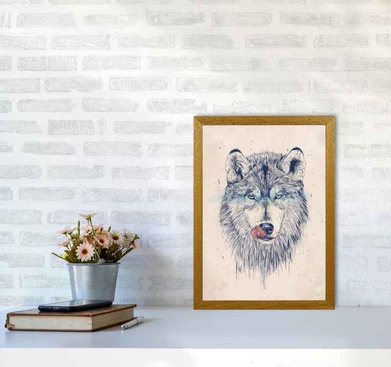 Dinner Time Wolf Animal Art Print by Balaz Solti A3 Print Only