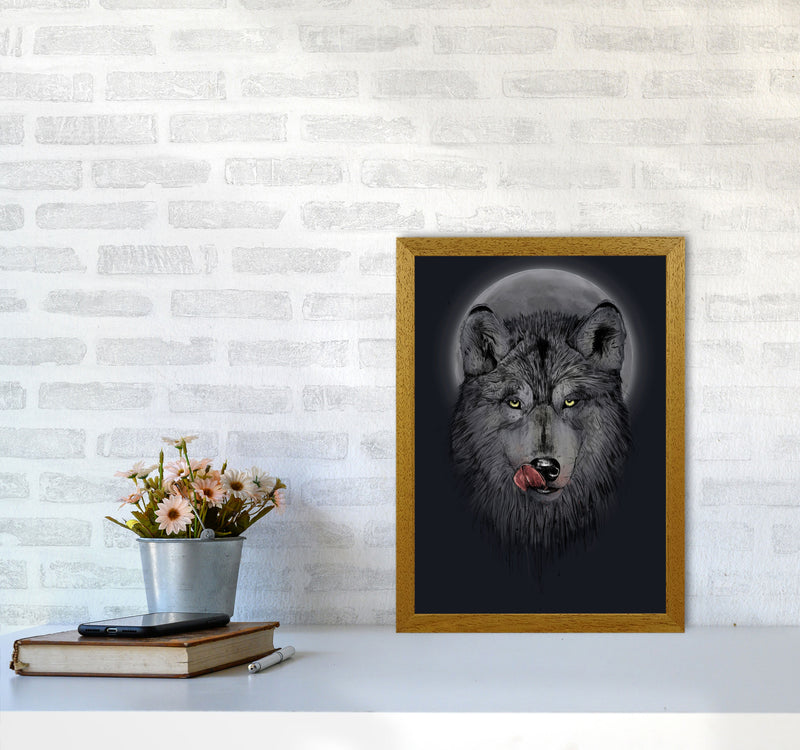 Dinner Time Wolf Night Animal Art Print by Balaz Solti A3 Print Only