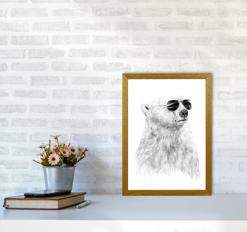 Don't Let The Sun Go Down Bear Animal Art Print by Balaz Solti A3 Print Only