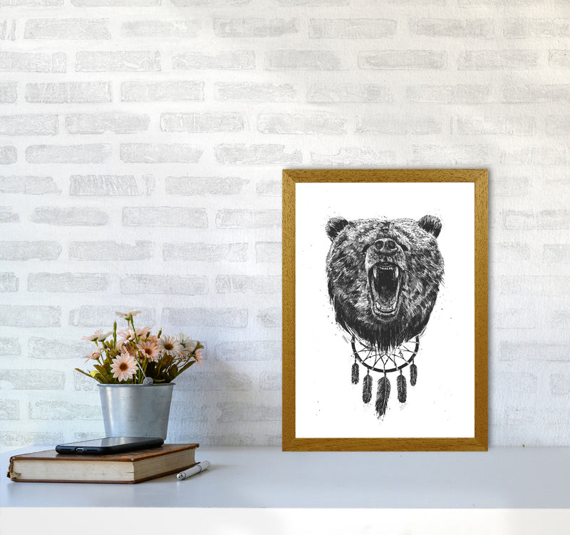 Don't Wake The Bear Animal Art Print by Balaz Solti A3 Print Only