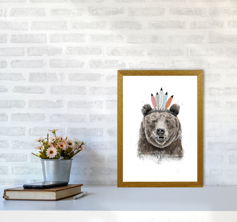 Festival Bear Animal Art Print by Balaz Solti A3 Print Only