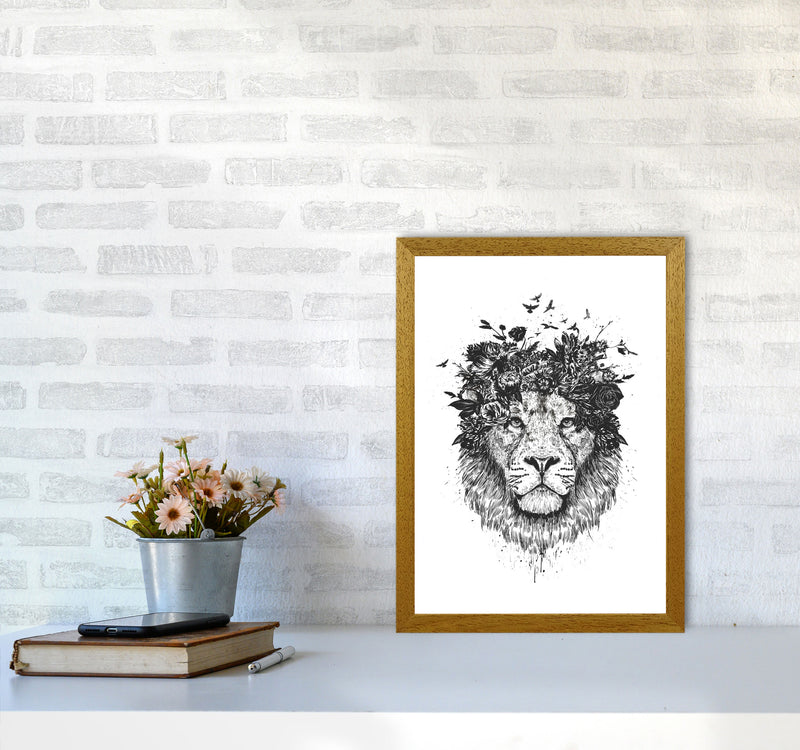 Floral Lion B&W Animal Art Print by Balaz Solti A3 Print Only