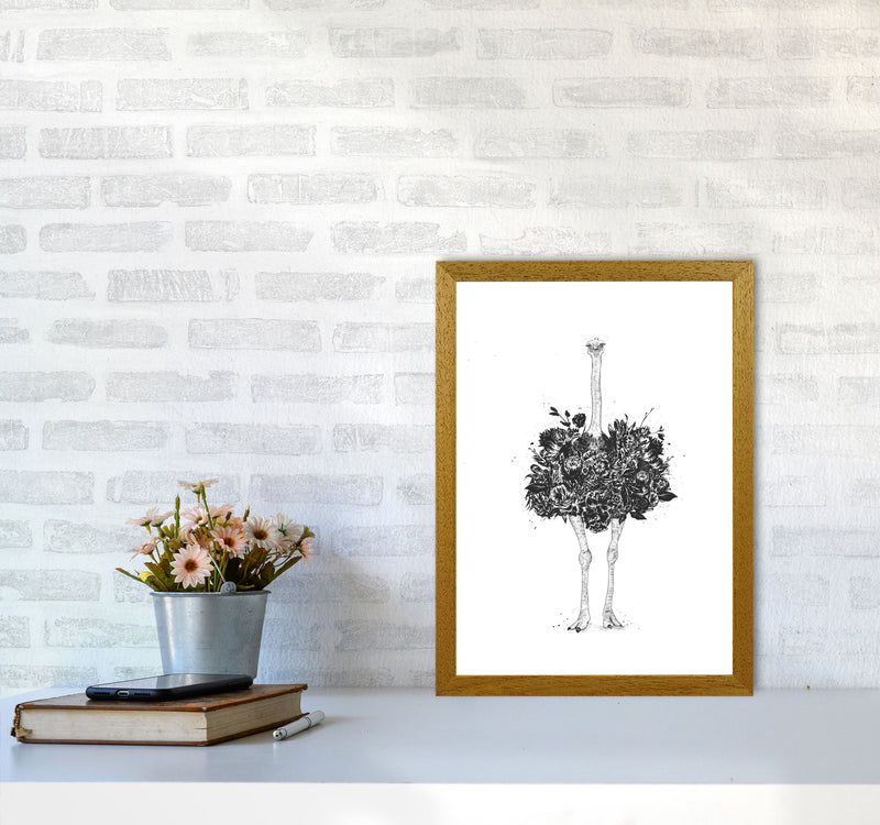 Floral Ostrich Animal Art Print by Balaz Solti A3 Print Only