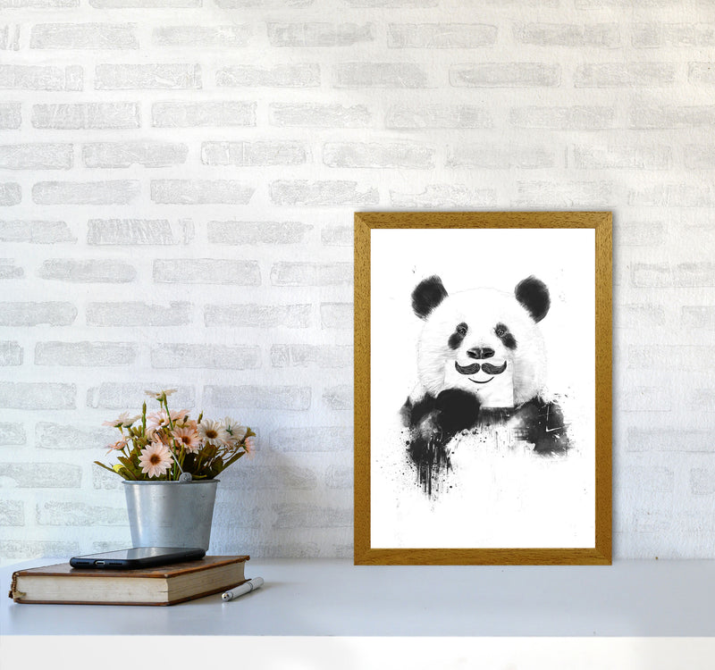Funny Panda Animal Art Print by Balaz Solti A3 Print Only