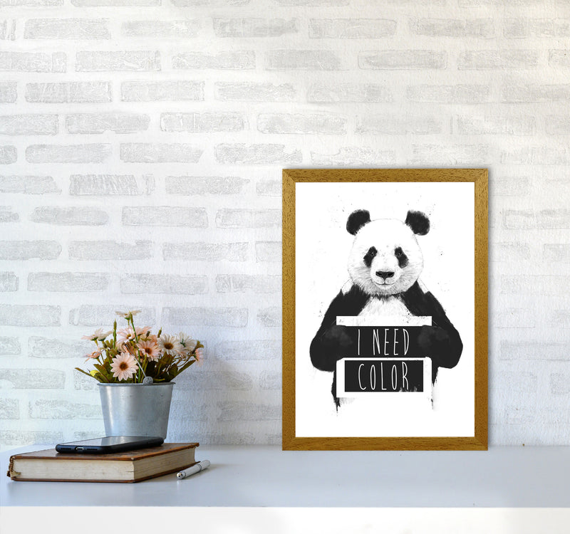 I Need Colour Panda Animal Art Print by Balaz Solti A3 Print Only