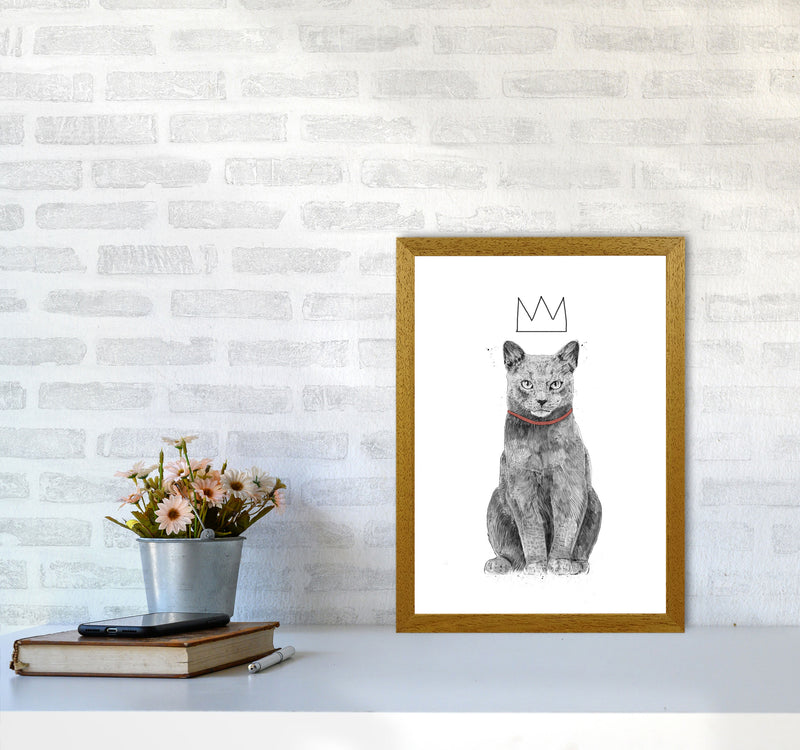 King Of Everything Animal Art Print by Balaz Solti A3 Print Only