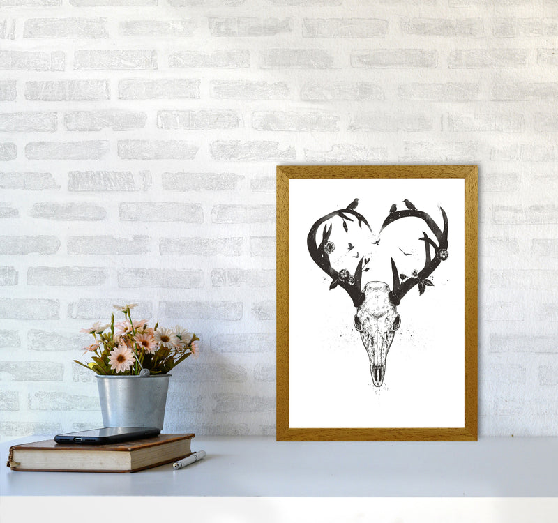 Never-ending Love Deer Skull B&W Animal Art Print by Balaz Solti A3 Print Only
