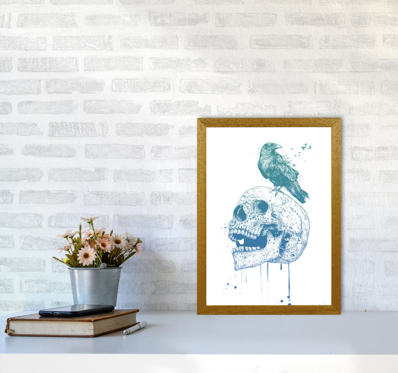 Skull & Raven Colour Animal Art Print by Balaz Solti A3 Print Only