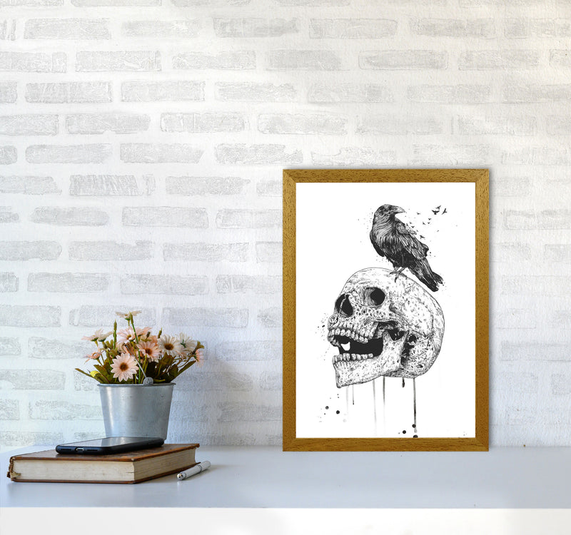 Skull & Raven B&W Animal Art Print by Balaz Solti A3 Print Only
