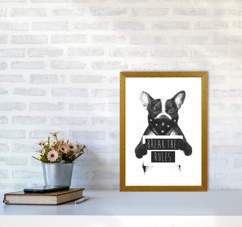 Rebel Bulldog Animal Art Print by Balaz Solti A3 Print Only