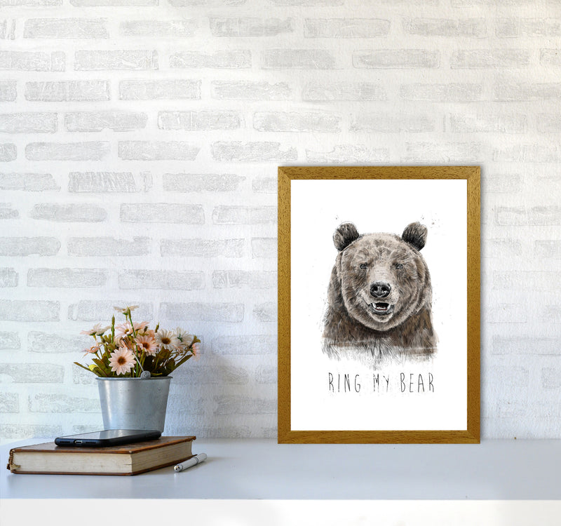 Ring My Bear Animal Art Print by Balaz Solti A3 Print Only