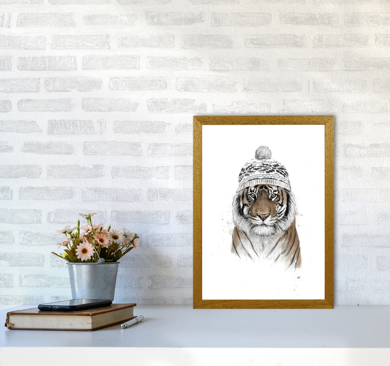 Siberian Tiger Animal Art Print by Balaz Solti A3 Print Only
