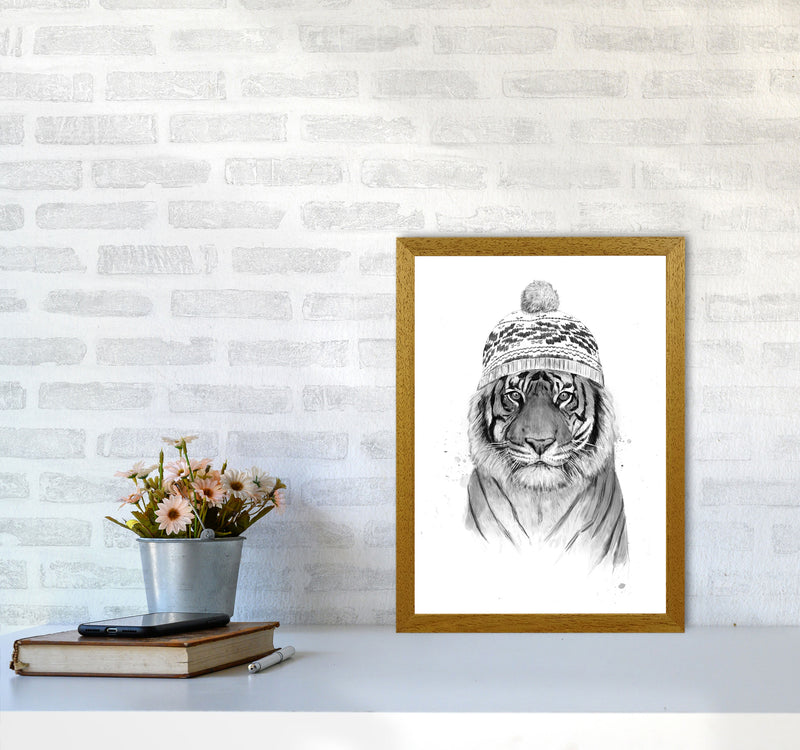 Siberian Tiger B&W Animal Art Print by Balaz Solti A3 Print Only
