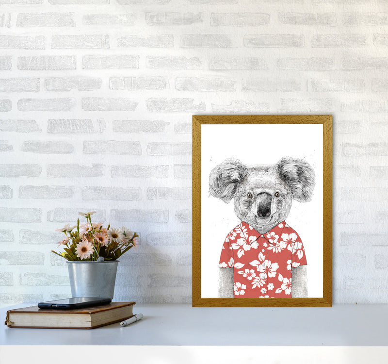 Summer Koala Red Animal Art Print by Balaz Solti A3 Print Only