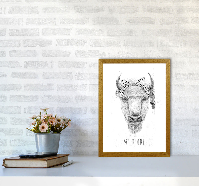 Wild One Buffalo Animal Art Print by Balaz Solti A3 Print Only