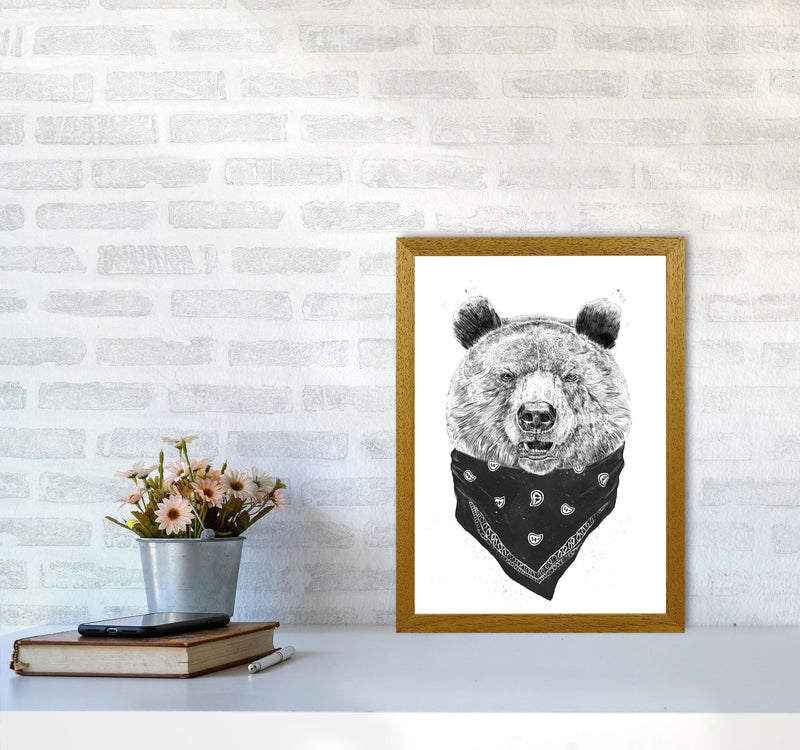 Wild Bear Animal Art Print by Balaz Solti A3 Print Only