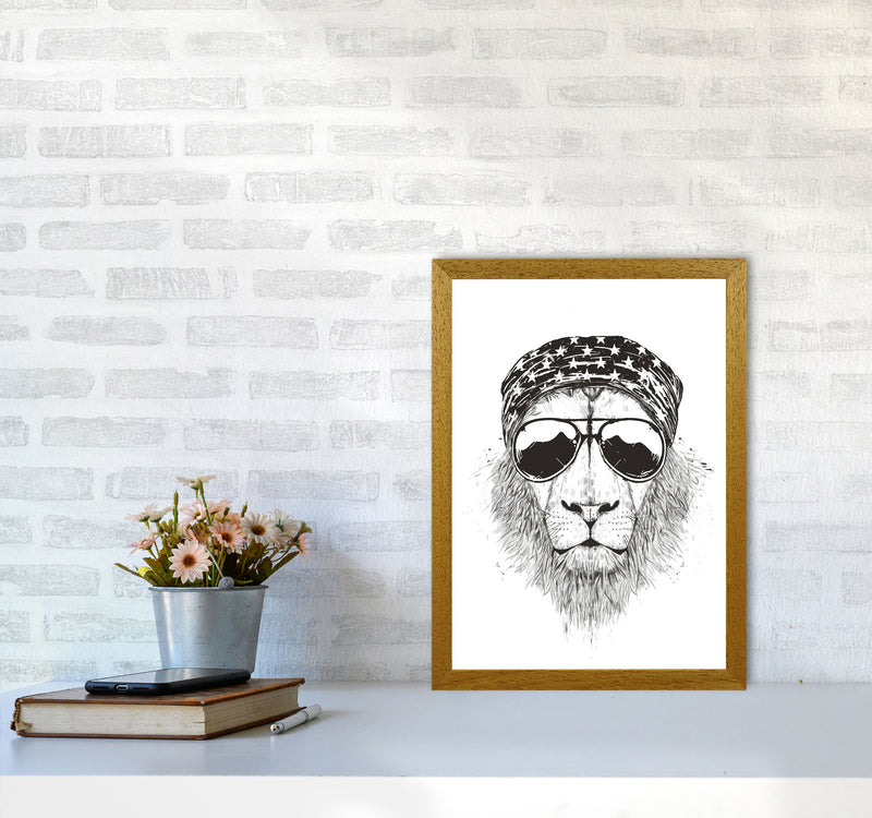 Wild Lion B&W Animal Art Print by Balaz Solti A3 Print Only
