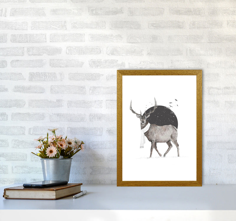 Winter Is All Around Stag Colour Animal Art Print by Balaz Solti A3 Print Only