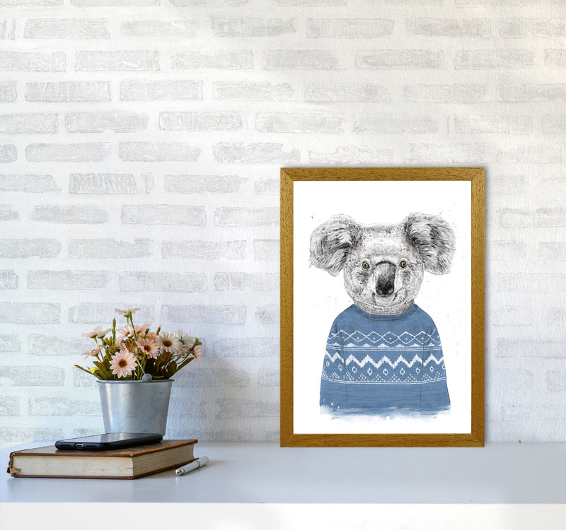Winter Koala Blue Animal Art Print by Balaz Solti A3 Print Only