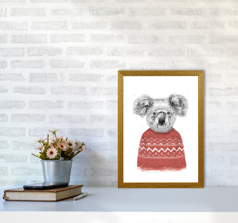 Winter Koala Red Animal Art Print by Balaz Solti A3 Print Only