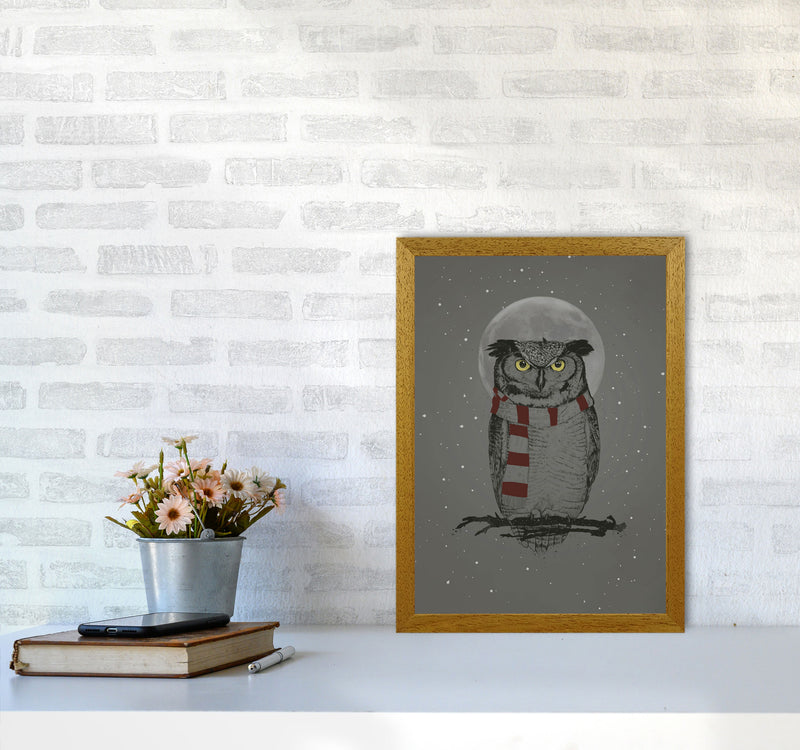 Winter Owl Animal Art Print by Balaz Solti A3 Print Only