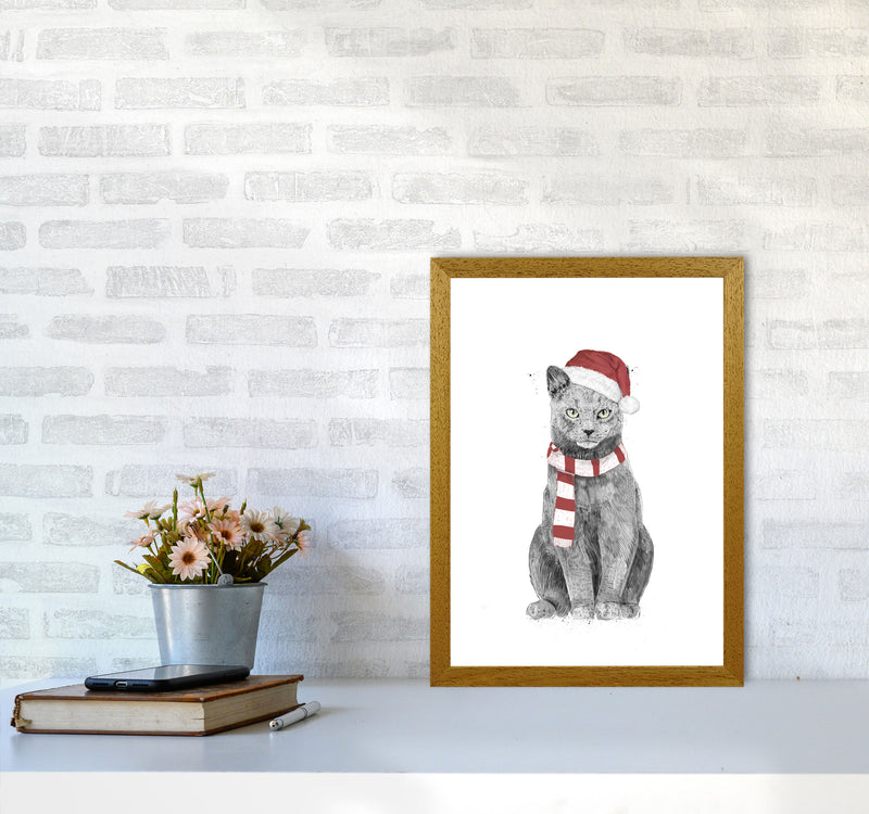 Christmas Cat Animal Art Print by Balaz Solti A3 Print Only