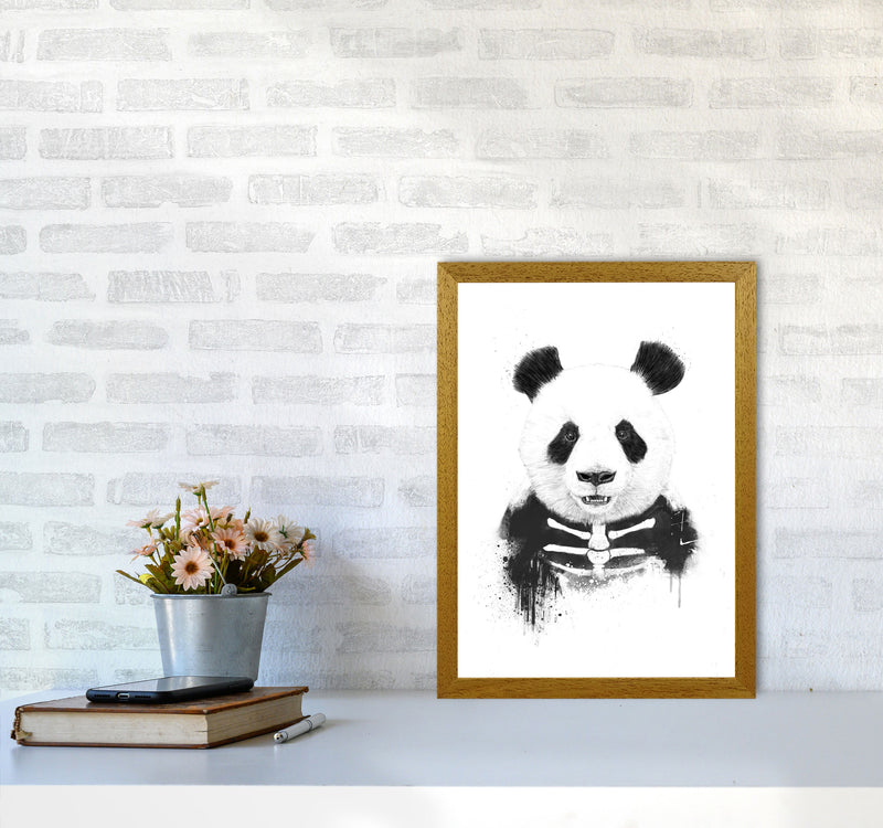 Zombie Panda Animal Art Print by Balaz Solti A3 Print Only
