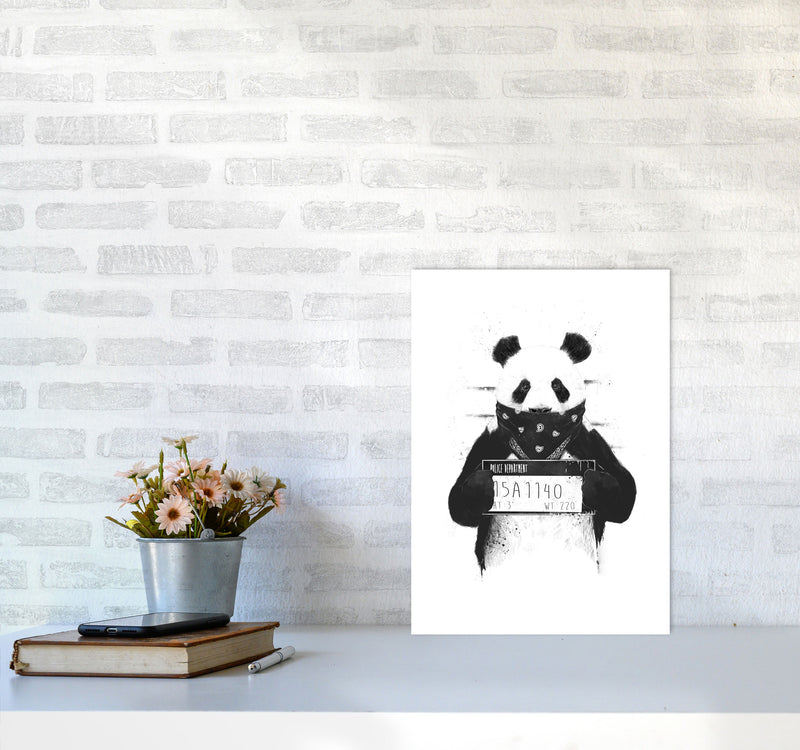 Bad Panda Animal Art Print by Balaz Solti A3 Black Frame