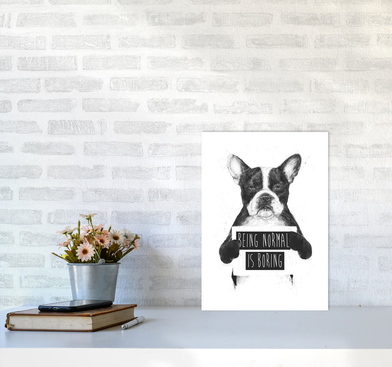 Being Normal Is Boring Animal Art Print by Balaz Solti A3 Black Frame