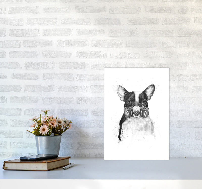 Big City Life Bulldog Animal Art Print by Balaz Solti A3 Black Frame