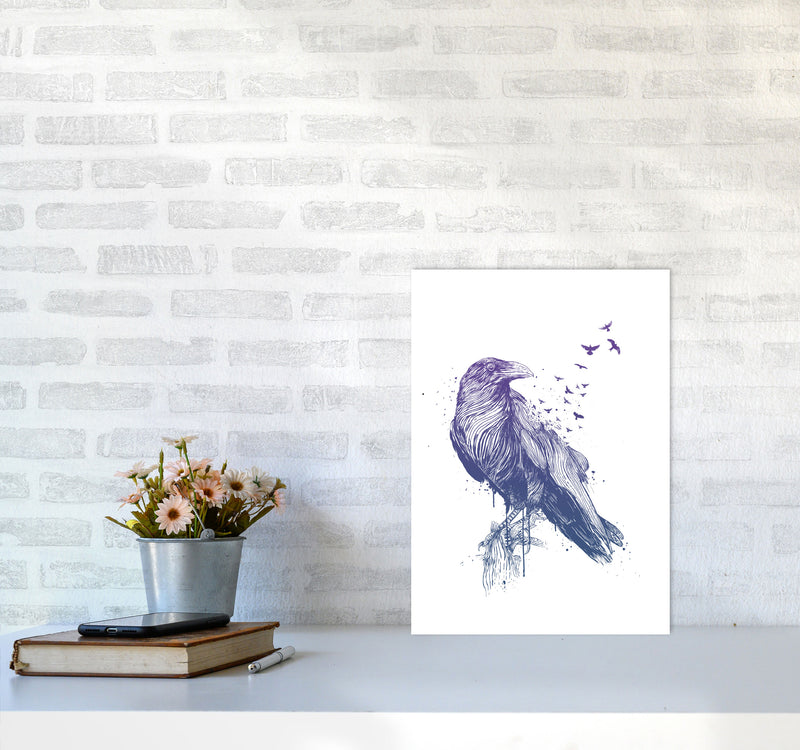 Born To Be Free Raven Animal Art Print by Balaz Solti A3 Black Frame