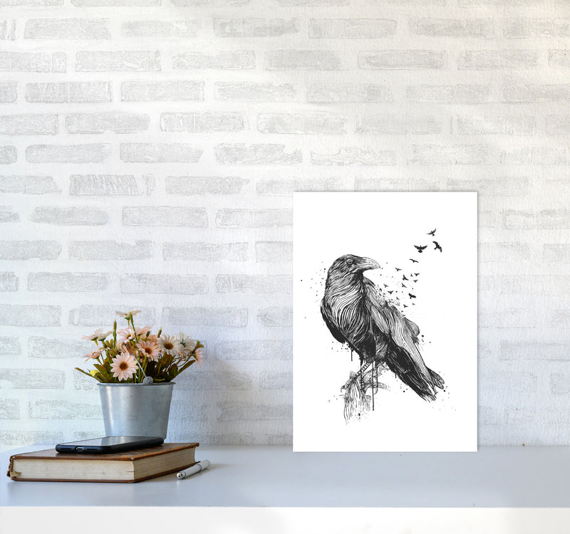 Born To Be Free Raven B&W Animal Art Print by Balaz Solti A3 Black Frame