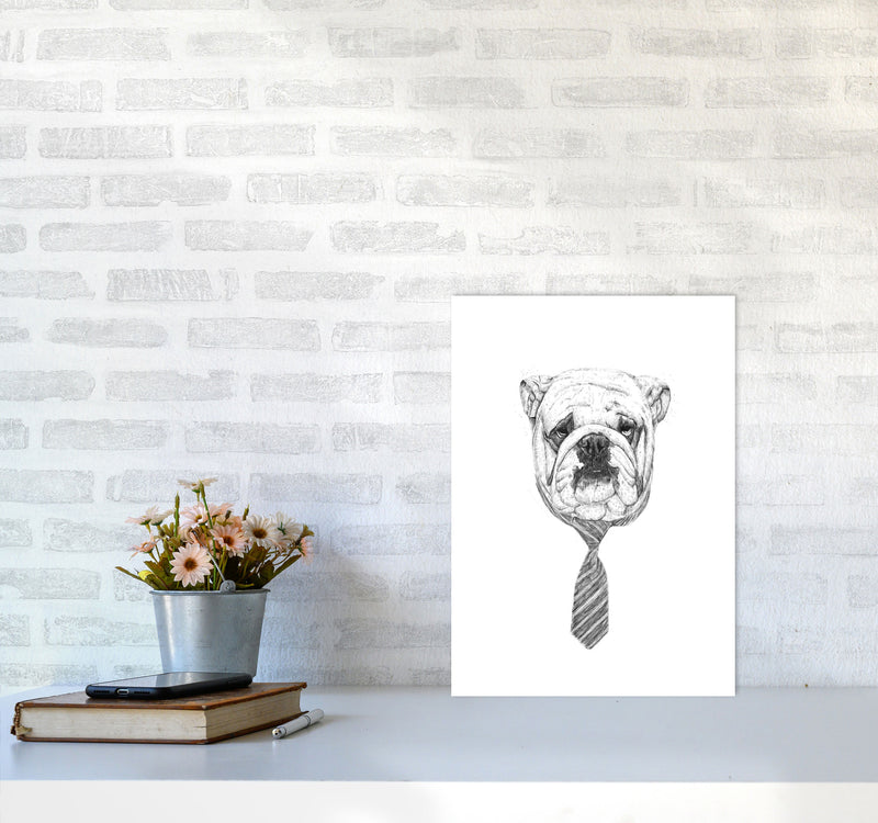 Cool Bulldog Animal Art Print by Balaz Solti A3 Black Frame