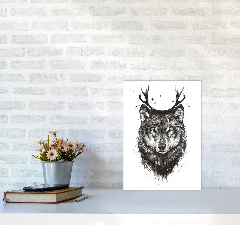 Deer Wolf B&W Animal Art Print by Balaz Solti A3 Black Frame
