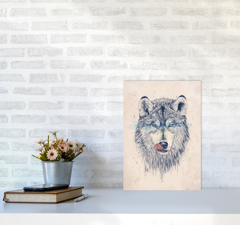 Dinner Time Wolf Animal Art Print by Balaz Solti A3 Black Frame