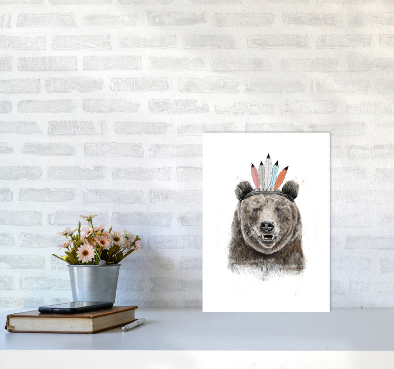 Festival Bear Animal Art Print by Balaz Solti A3 Black Frame