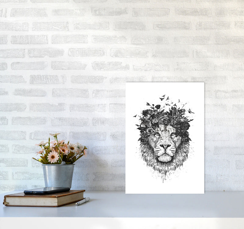 Floral Lion B&W Animal Art Print by Balaz Solti A3 Black Frame