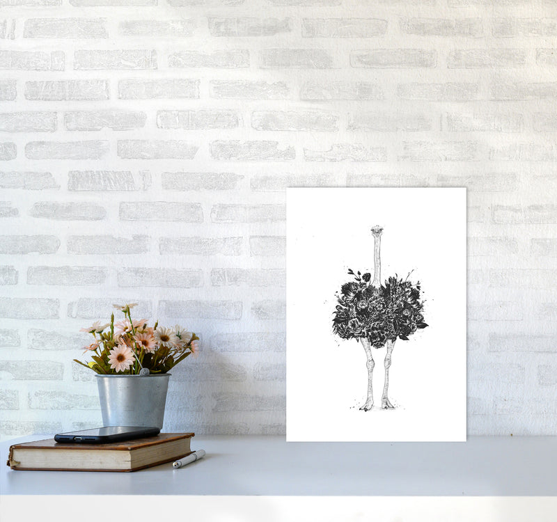 Floral Ostrich Animal Art Print by Balaz Solti A3 Black Frame
