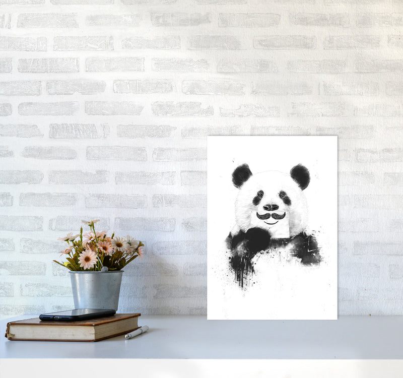 Funny Panda Animal Art Print by Balaz Solti A3 Black Frame