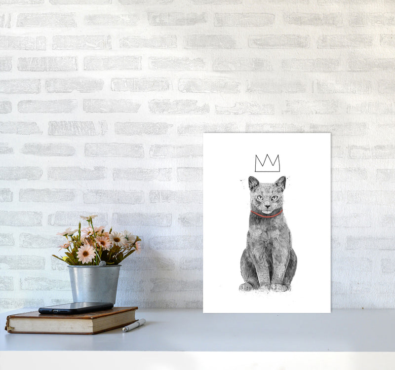 King Of Everything Animal Art Print by Balaz Solti A3 Black Frame