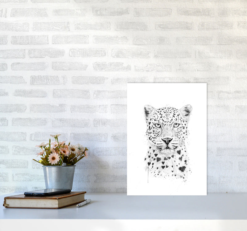 Lovely Leopard Animal Art Print by Balaz Solti A3 Black Frame