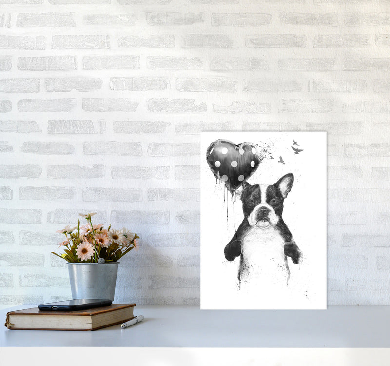 My Heart Goes Boom Bulldog Animal Art Print by Balaz Solti A3 Black Frame