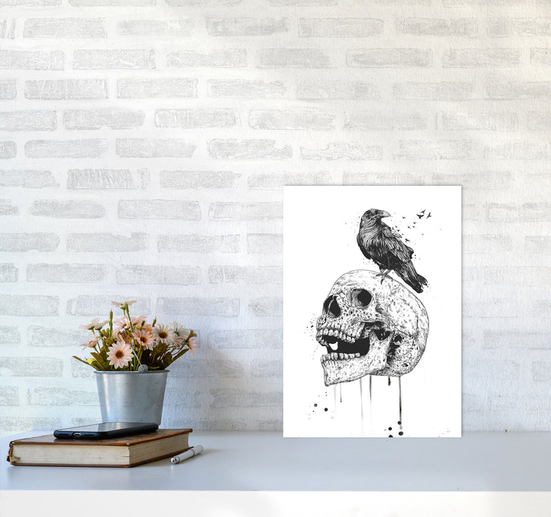 Skull & Raven B&W Animal Art Print by Balaz Solti A3 Black Frame